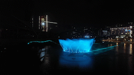 7.gif 7.gif